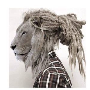 Meet your Posher, Rayvonne